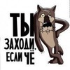 artemsemechkov